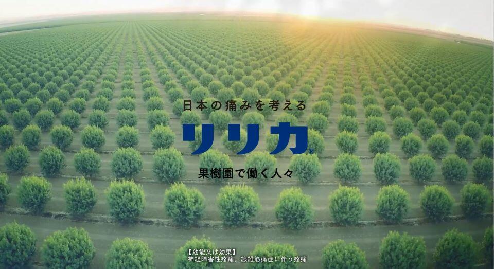 リリカ - Viatris e Channel 医療関係者向けWebサイト